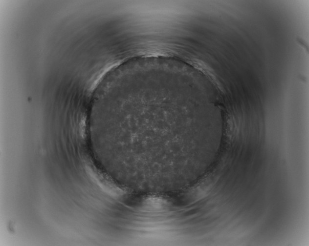 X0000099470596200805161113