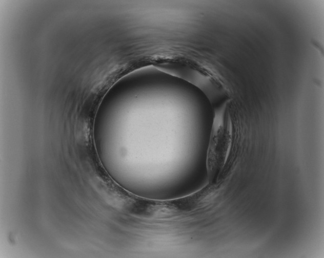 X0000099470597200805161113