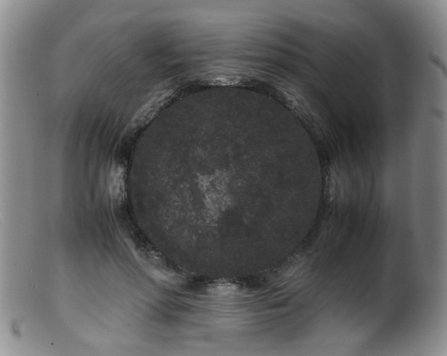 X0000099470598200805161113