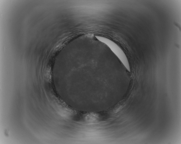 X0000099470599200805161113