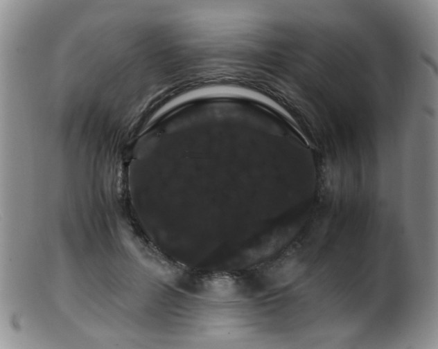 X0000099470600200805161113