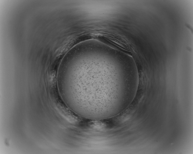 X0000099470601200805161113