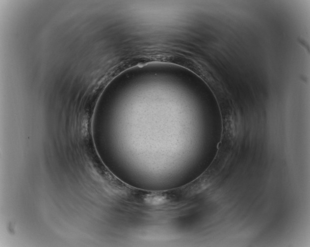 X0000099470602200805161113