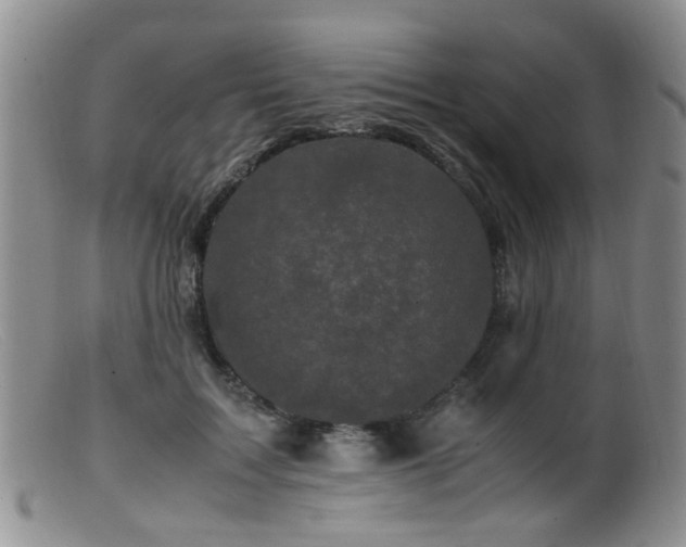 X0000099470603200805161113
