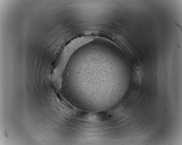 X0000099470604200805161113