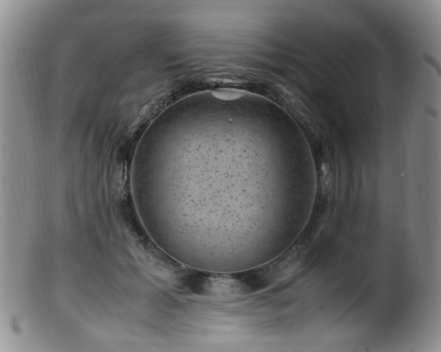 X0000099470605200805161113