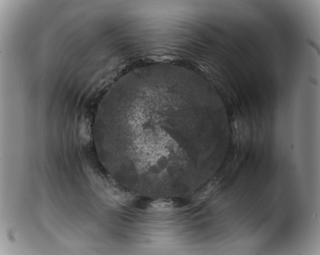 X0000099470606200805161113