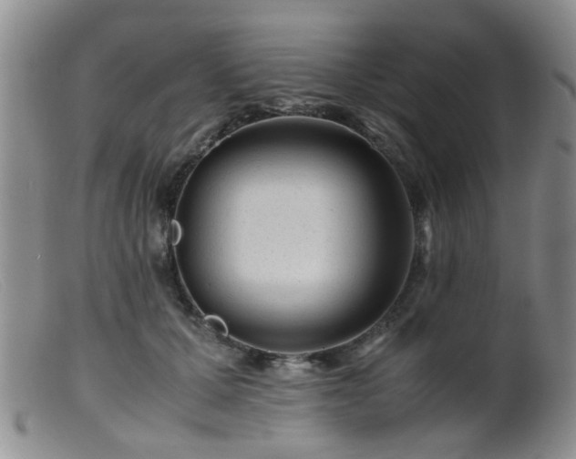 X0000099470607200805161113