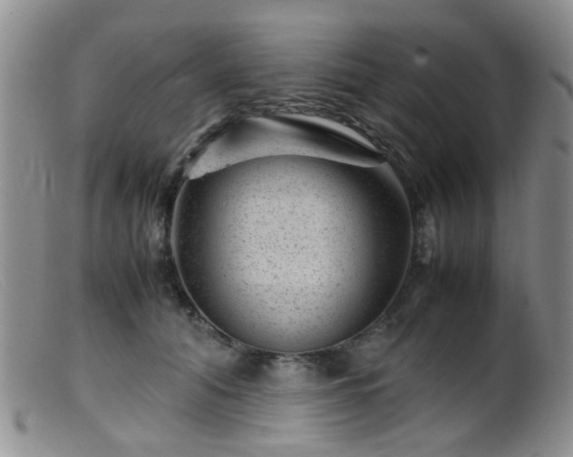 X0000099470608200805161113