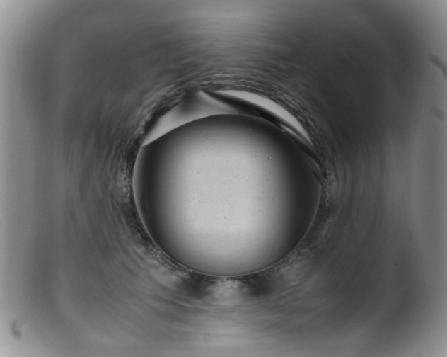 X0000099470609200805161113