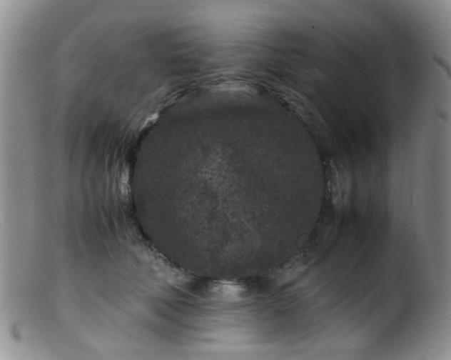 X0000099470610200805161112
