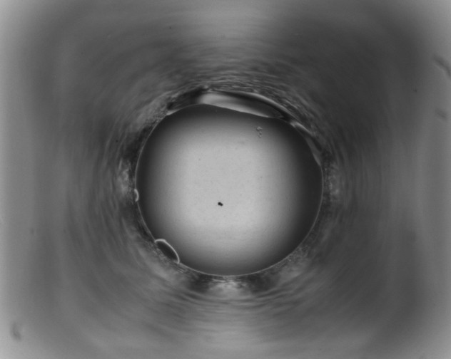 X0000099470611200805161112