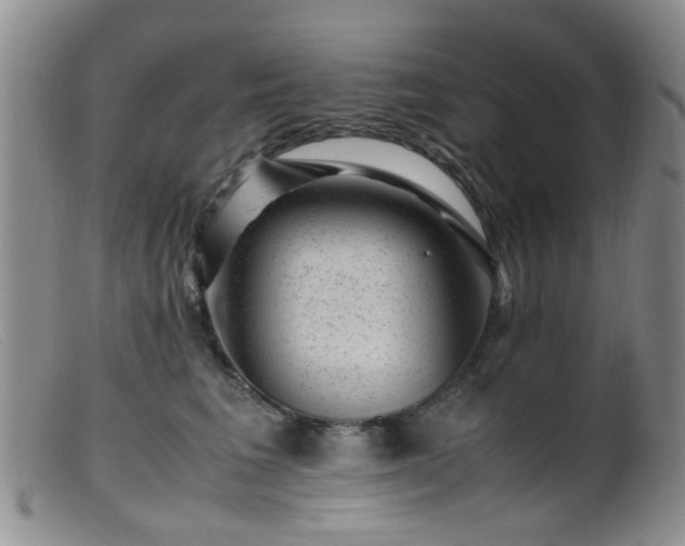 X0000099470613200805161112
