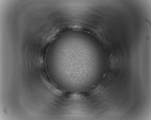 X0000099470614200805161112