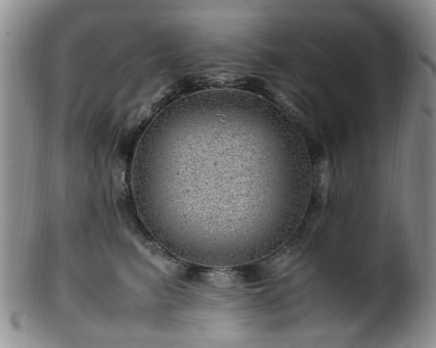 X0000099470615200805161112