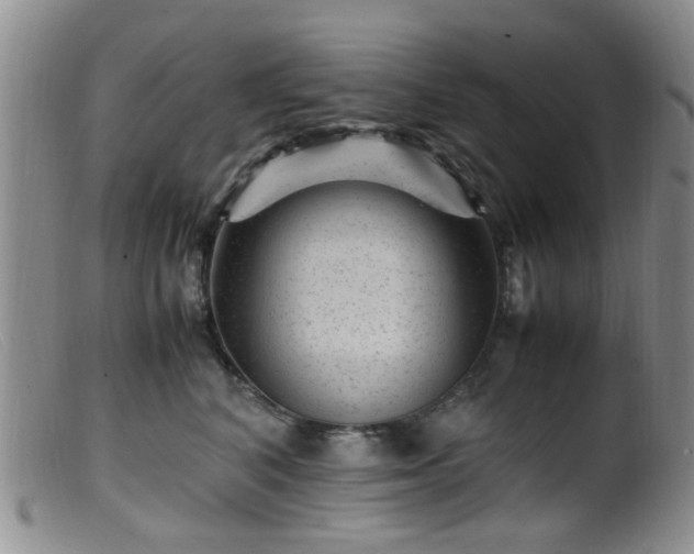 X0000099470616200805161112