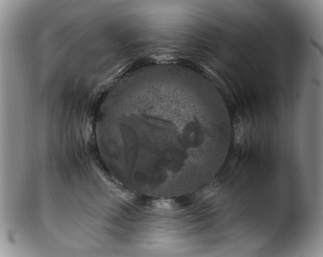 X0000099470618200805161112