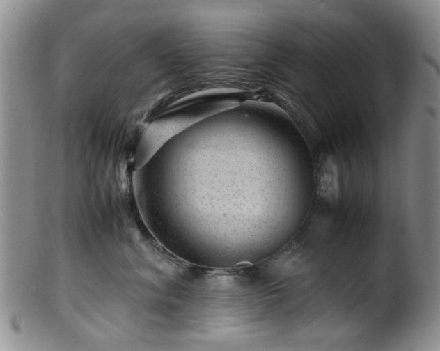 X0000099470620200805161112