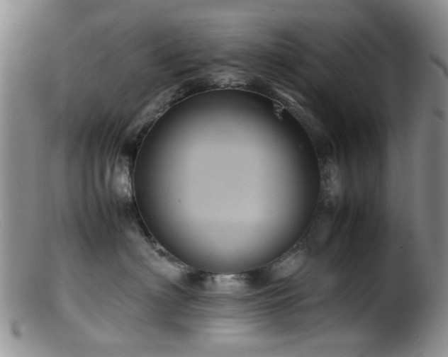 X0000099470622200805161112