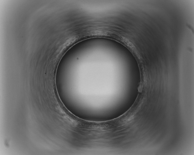 X0000099470625200805161112