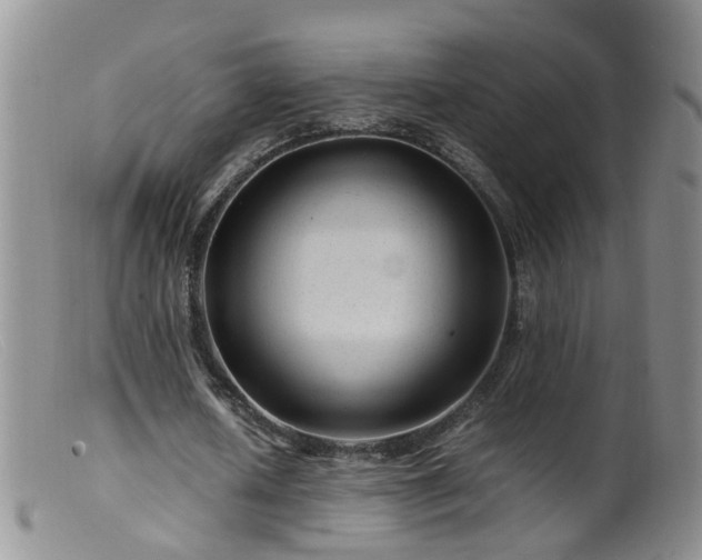 X0000099470626200805161112