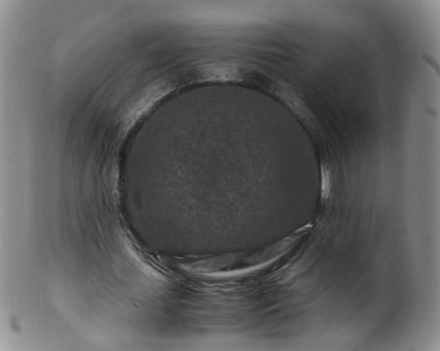 X0000099470627200805161112