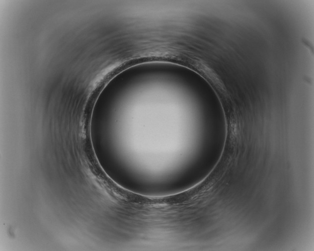 X0000099470628200805161112