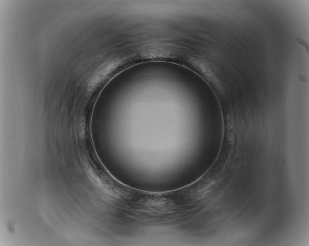 X0000099470631200805161112