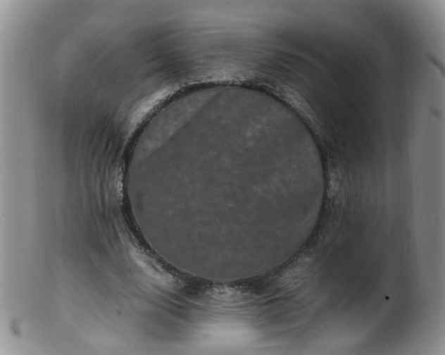 X0000099470632200805161112