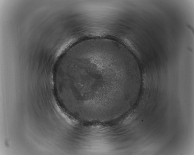 X0000099470634200805161112