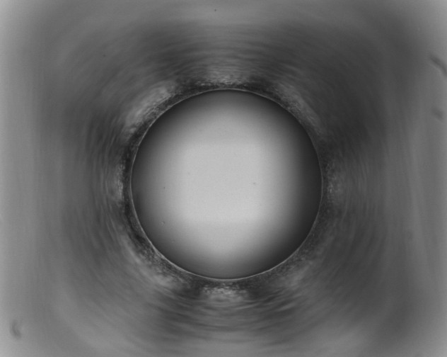 X0000099470635200805161112