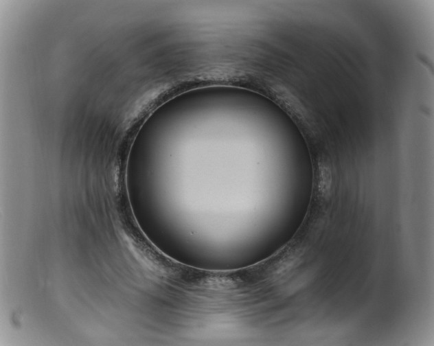 X0000099470636200805161112