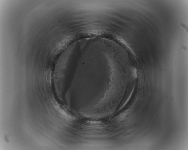 X0000099470637200805161112