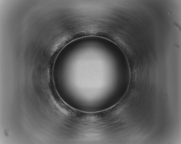 X0000099470638200805161112