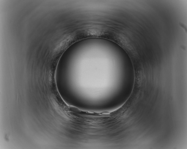 X0000099470639200805161112