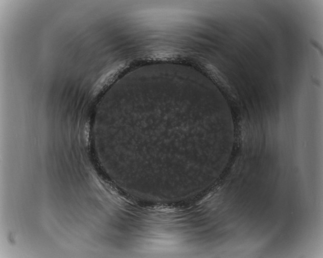 X0000099470640200805161112