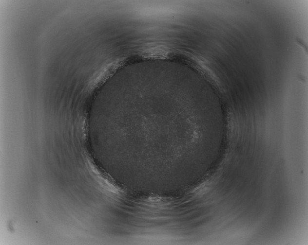 X0000099470641200805161112