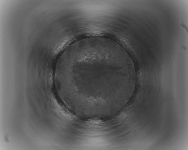 X0000099470642200805161112