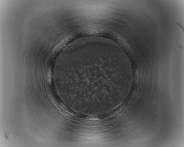 X0000099470644200805161112