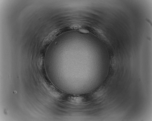 X0000099470645200805161112