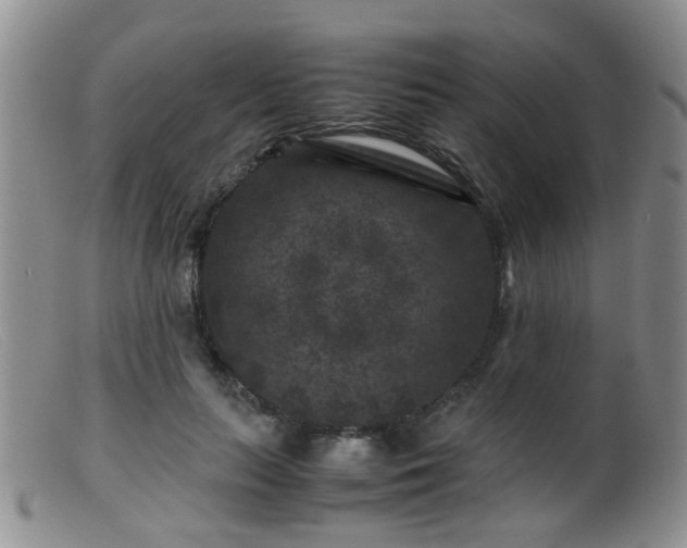 X0000099470647200805161112