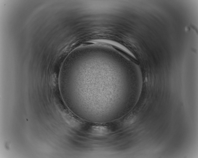 X0000099470649200805161112