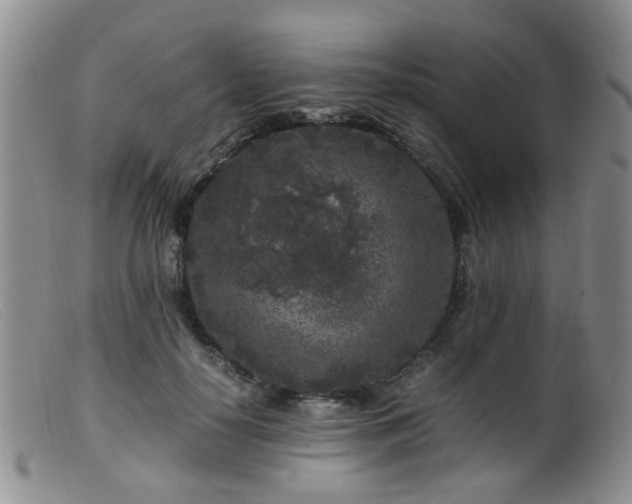 X0000099470650200805161112