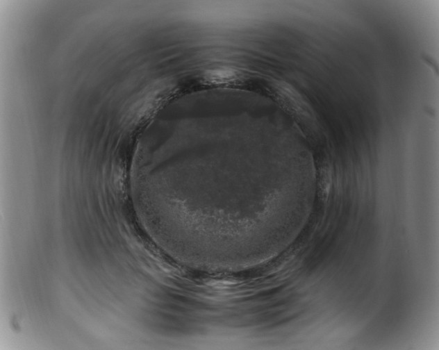X0000099470653200805161112