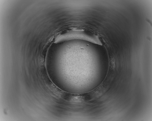 X0000099470657200805161112