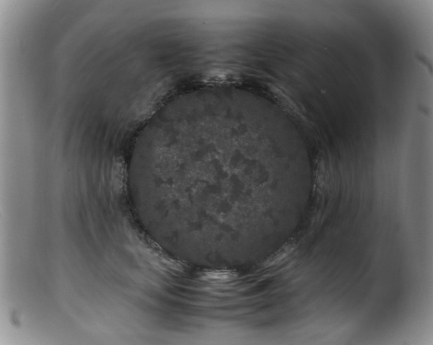 X0000099470659200805161112