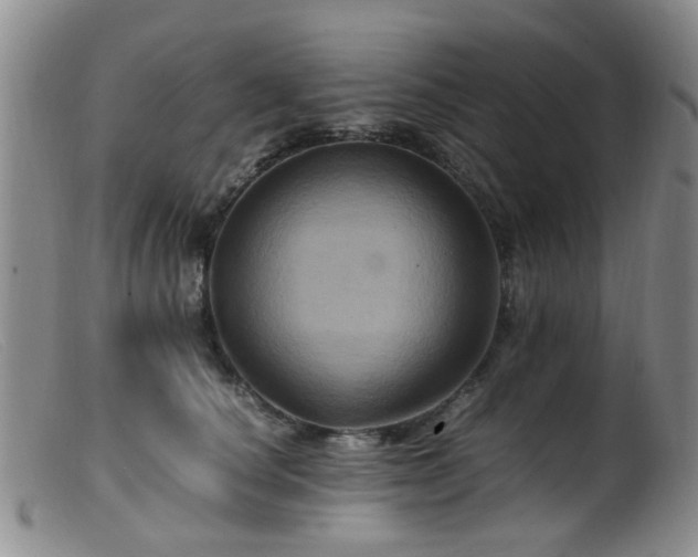 X0000099470660200805161112
