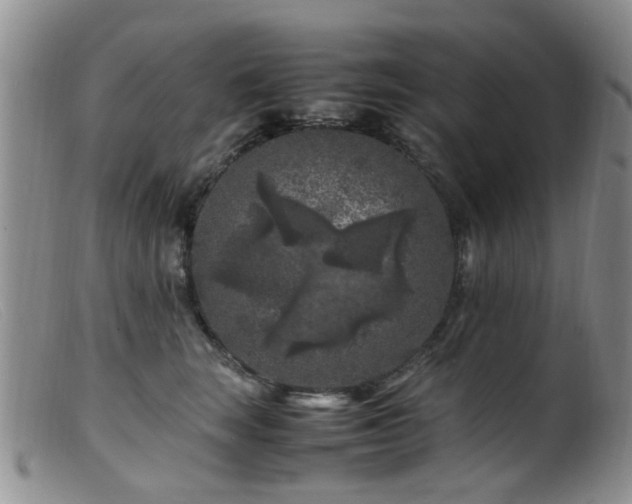 X0000099470663200805161112
