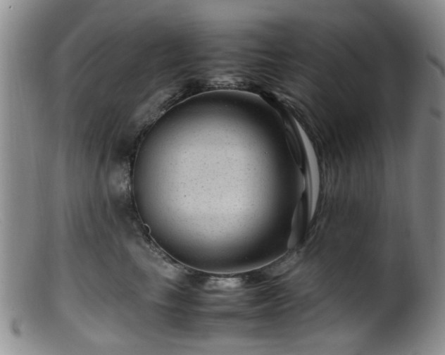 X0000099470665200805161112