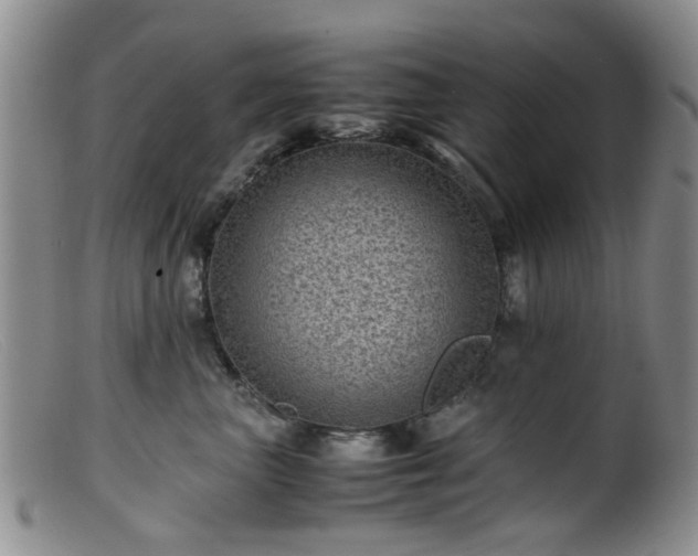 X0000099470667200805161112